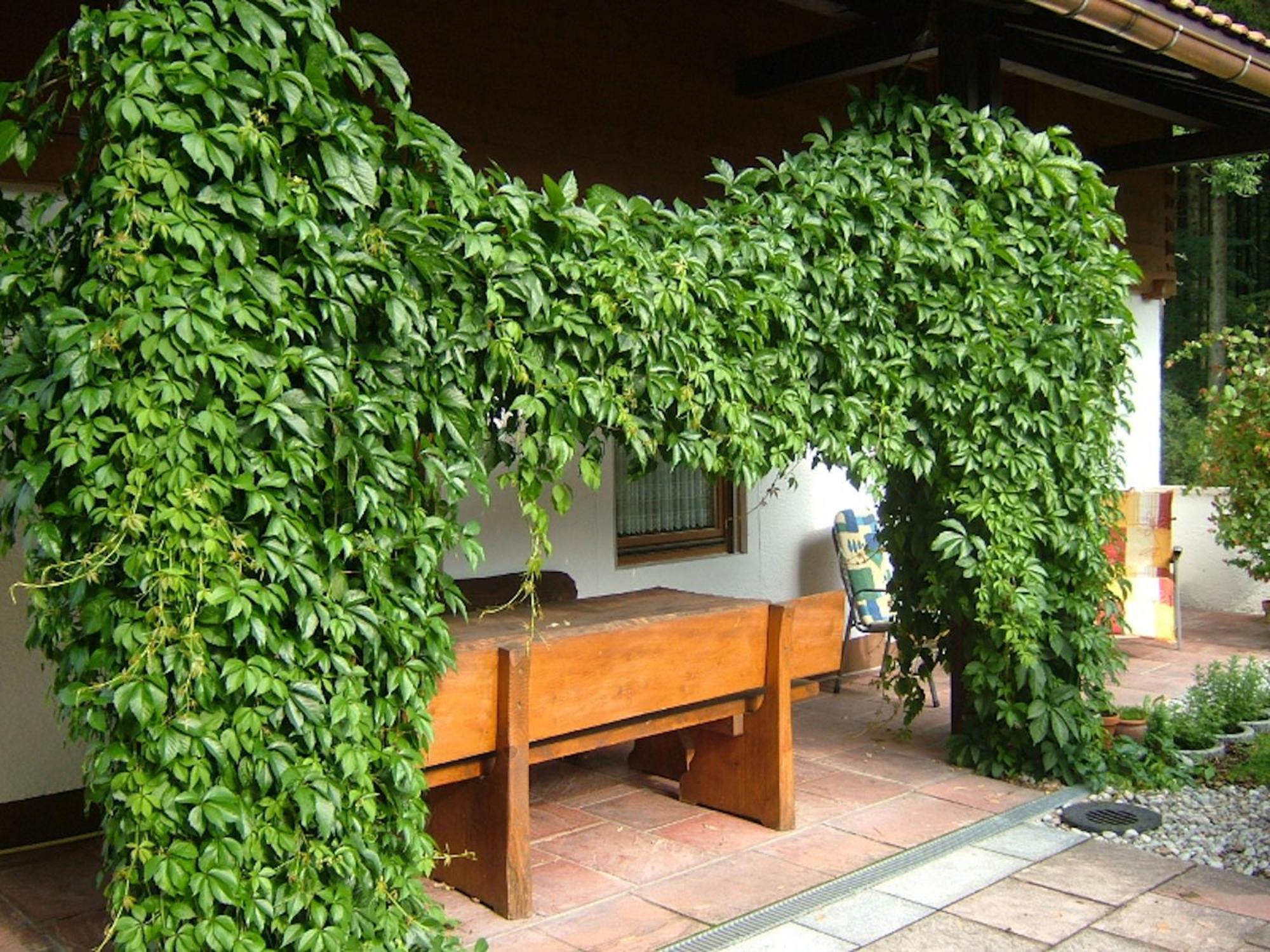 Haus Mayerbuechler - Chiemgau Karte انزل المظهر الخارجي الصورة